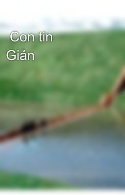 Con tin-Giản nhất a