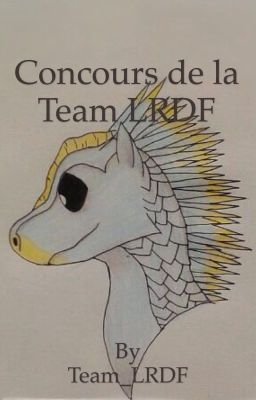 Concours de la Team LRDF