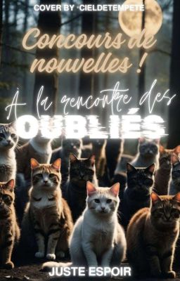 Concours de Nouvelles : À la Rencontre des Oubliés [OUVERT]