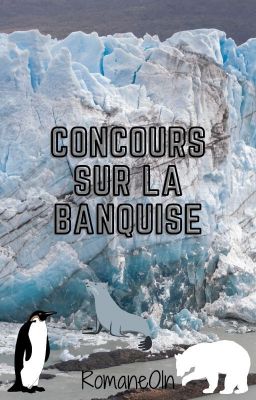 Concours sur la banquise (INSCRIPTIONS FERMÉES)