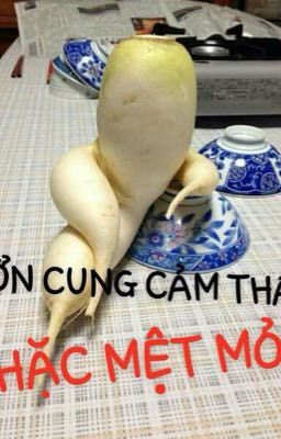 Công Chúa Ngốc Nghếch, Đừng Xa Anh!