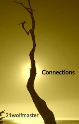 Connections