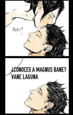 ¿Conoces a Magnus Bane? [ADAPTACIÓN] 