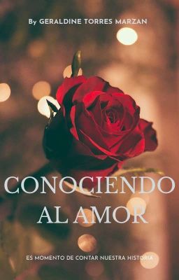 CONOCIENDO AL AMOR (SAGA GREY 3)