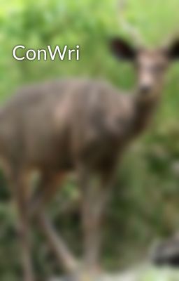 ConWri
