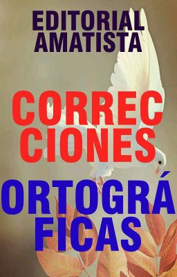 Correcciones Ortográficas- Editorial Amatista