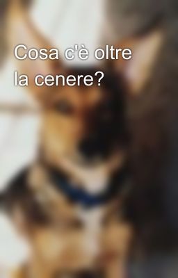 Cosa c'è oltre la cenere?