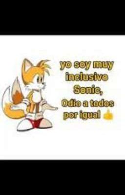 Cosas que odio de los fanfics de Sonic.