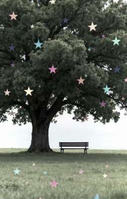 countdown • domicmasterd 