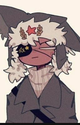 (Countryhumans-ALL x USSR) Ta xuyên không vào cái tiểu thuyết khốn nạn gì đây?!!