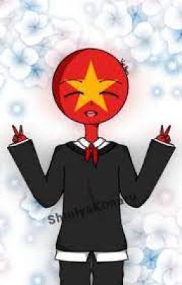 [countryhumans all x vietnam] khi các nước chơi đt