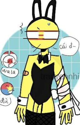 [Countryhumans]nơi tôi tự vã OTP của chính mình:)[Tạm Drop]