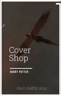 Cover Shop- Harry Potter