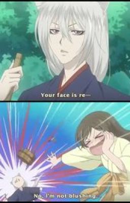 Crap! I'm stuck in Kamisama kiss (on hold)