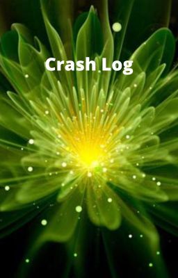 Crash Log