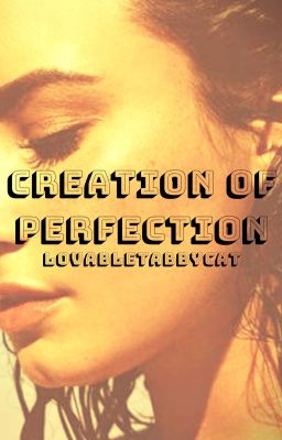 Creation Of Perfection | Aarmau AU