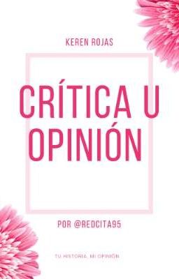 Crítica u Opinión 