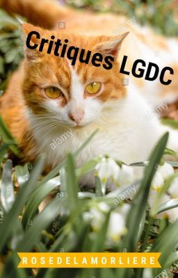 Critiques LGDC (fermé)