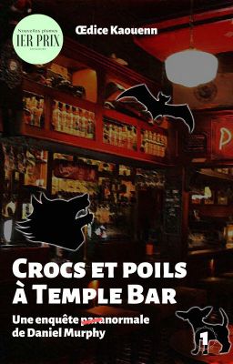 Crocs et poils à Temple Bar (Daniel Murphy T.1)