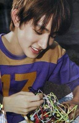 crush 