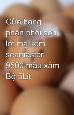 Cửa hàng phân phối sơn lót mạ kẽm seamaster 9500 màu xám Bộ 5Lit