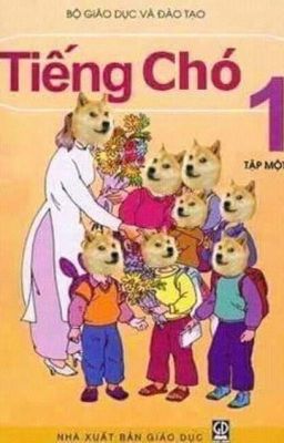 Cửa Hàng Sách Của Doge