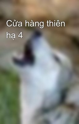 Cửa hàng thiên hạ 4