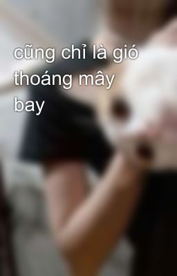 cũng chỉ là gió thoáng mây bay