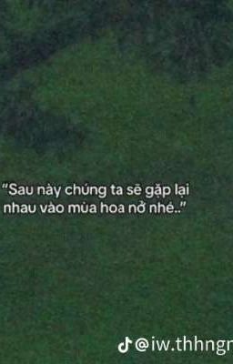 Cuộc đời của tớ..!