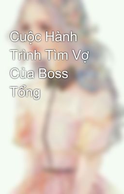 Cuộc Hành Trình Tìm Vợ Của Boss Tổng 