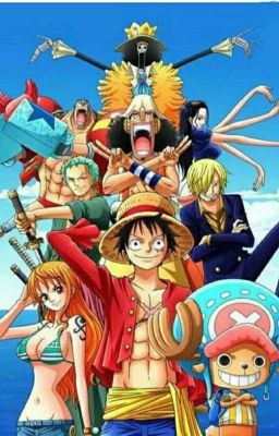 Cuộc Phiêu Lưu Của Luffy Và Người Bạn Mới