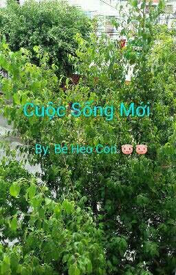 Cuộc Sống Mới 