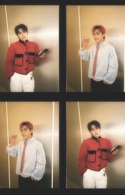 CườngLong / TBTN | cún khờ và mèo chảnh