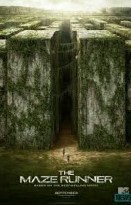 Curiosità Su Maze Runner