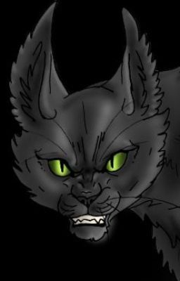 Curse of the Werecat