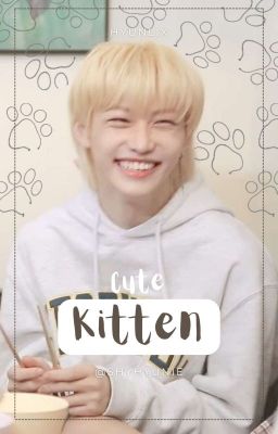 🍪;; Cute Kitten - HyunLix