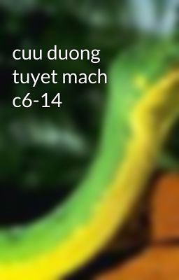 cuu duong tuyet mach c6-14