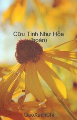 Cữu Tình Như Hỏa (hoàn)