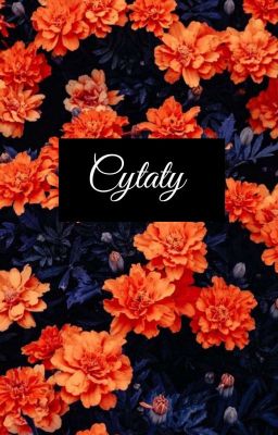 Cytaty 