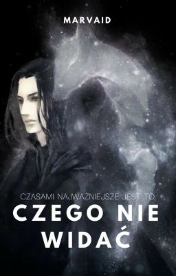 Czego nie widać (SS/HP)