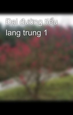 Đại đường tiểu lang trung 1