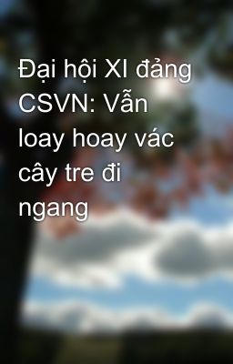 Đại hội XI đảng CSVN: Vẫn loay hoay vác cây tre đi ngang