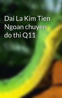 Dai La Kim Tien Ngoan chuyen do thi Q11