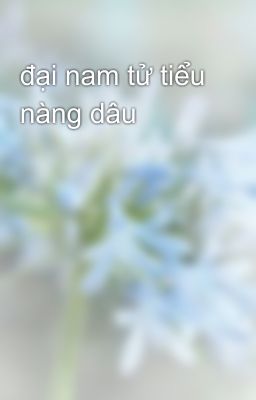 đại nam tử tiểu nàng dâu