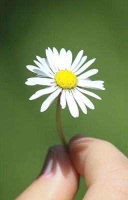 Daisy Chains