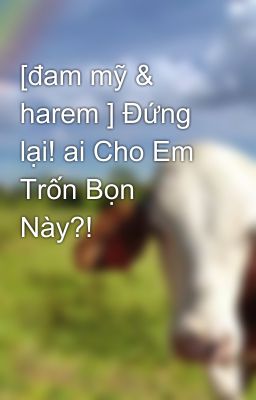 [đam mỹ & harem ] Đứng lại! ai Cho Em Trốn Bọn Này?! 