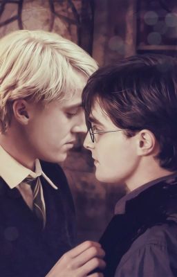 (Đam Mỹ - Harry×Draco) Đầu Thẹo Và Chồn Trắng