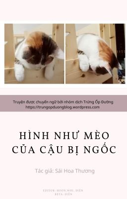 [Đam mỹ | Hoàn] Hình như mèo của cậu bị ngốc