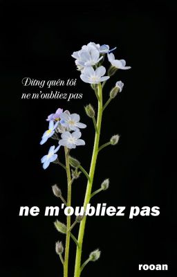 ĐAM MỸ | Ne m'oubliez pas (Hoa Lưu Ly)