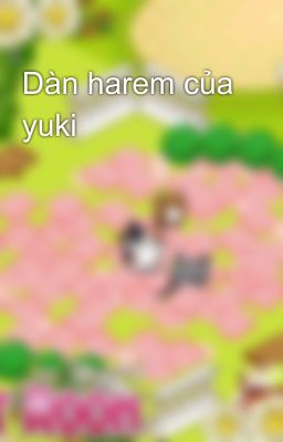 Dàn harem của yuki